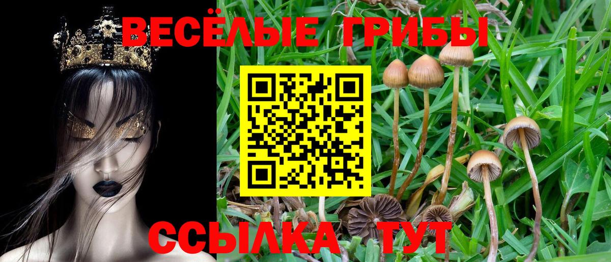 Галлюциногенные грибы Magic Shrooms Якутск